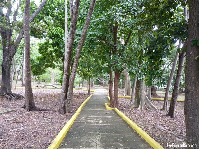 Parque Junghans ZeePuertoRico